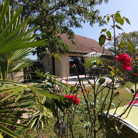 L'Albizia Gite Climatise St Maurice Saint-Maurice-en-Riviere Dış mekan fotoğraf