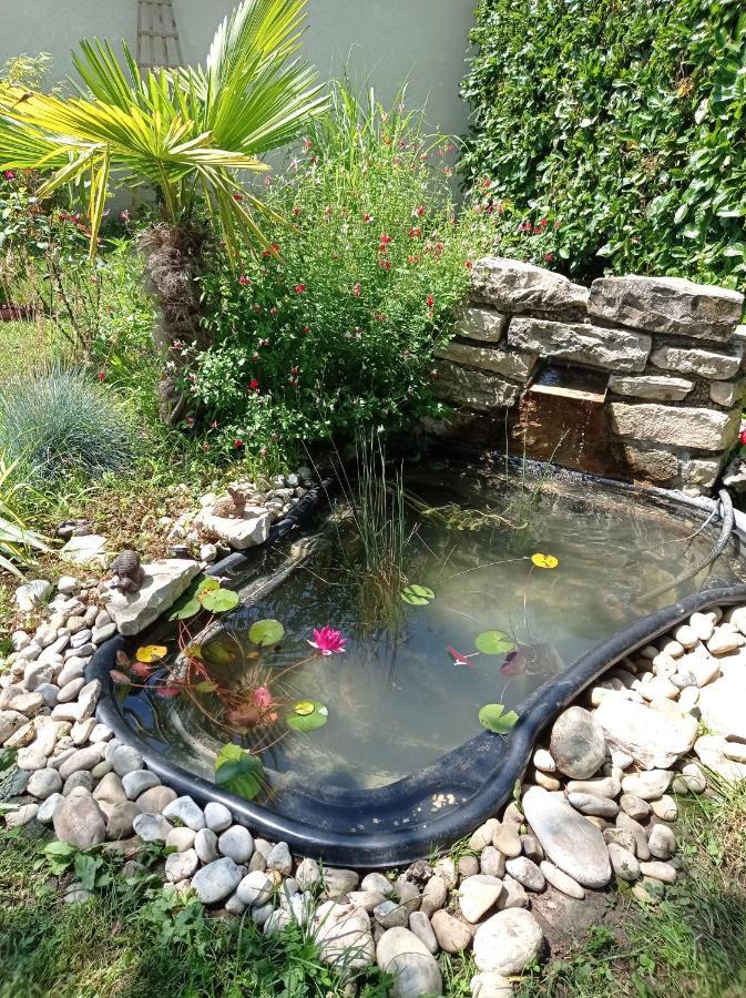 L'Albizia Gite Climatise St Maurice Saint-Maurice-en-Riviere Dış mekan fotoğraf