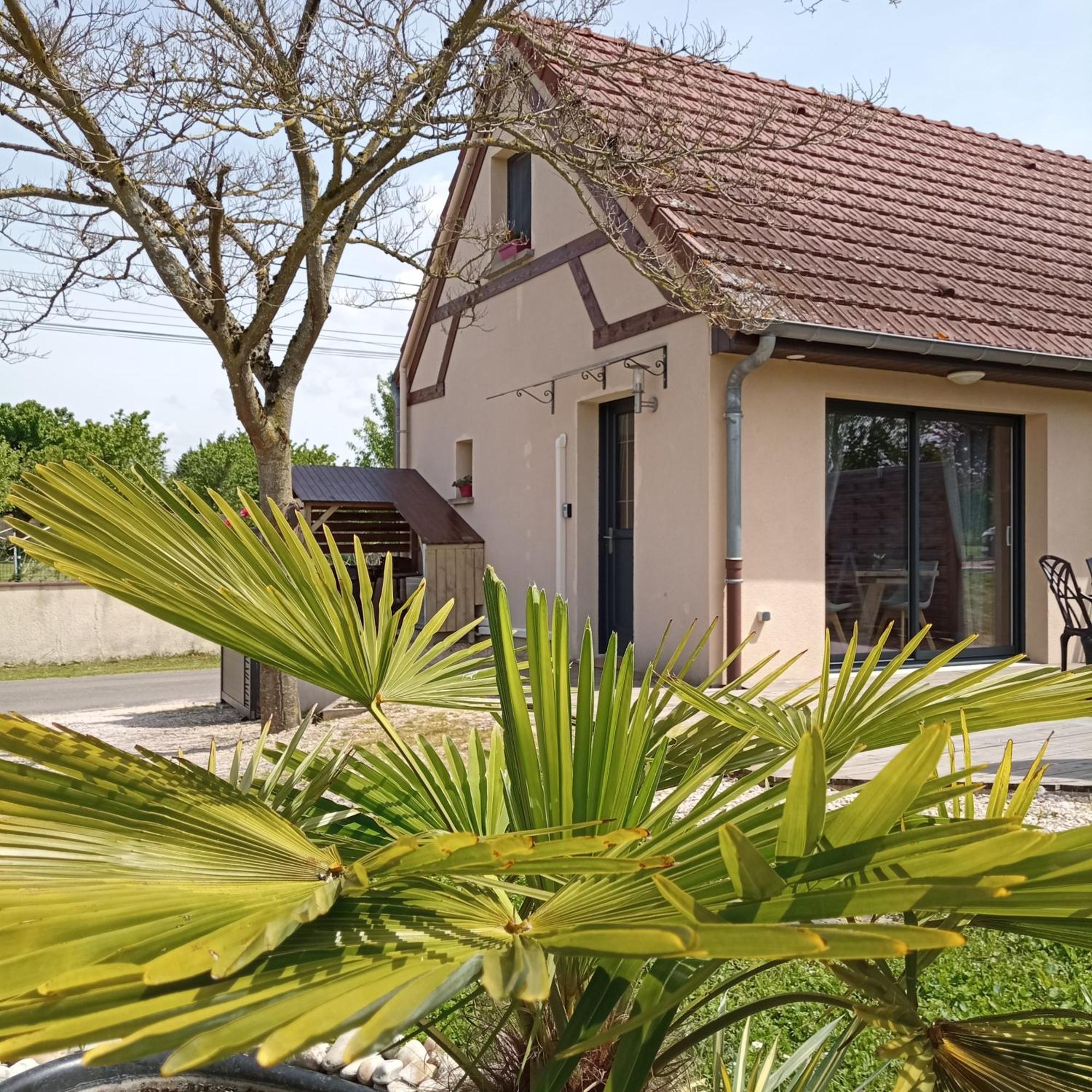 L'Albizia Gite Climatise St Maurice Saint-Maurice-en-Riviere Dış mekan fotoğraf
